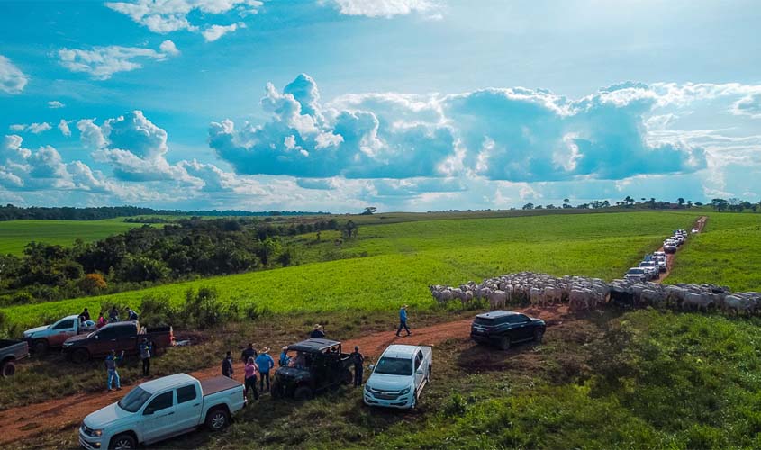 Professores da rede pública e privada participam de dia de campo