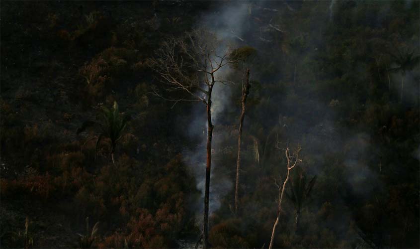 País teve 2,15 milhões de hectares queimados no primeiro semestre