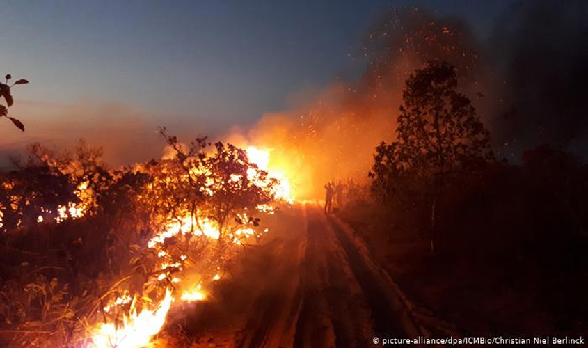 Amazônia em chamas e os impasses da destruição
