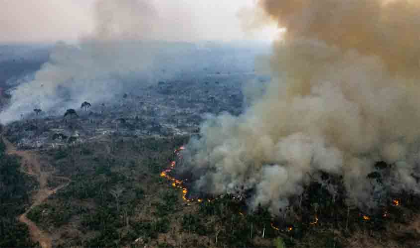  InfoAmazonia registra destruição em semana de fogo intenso em Rondônia, Amazonas e Mato Grosso 