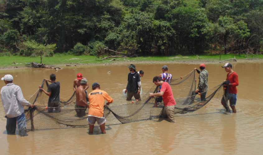 Governo de RO inicia resgate de alevinos de Pirarucu na Resex Lago do Cuniã para minimizar impactos da crise hídrica