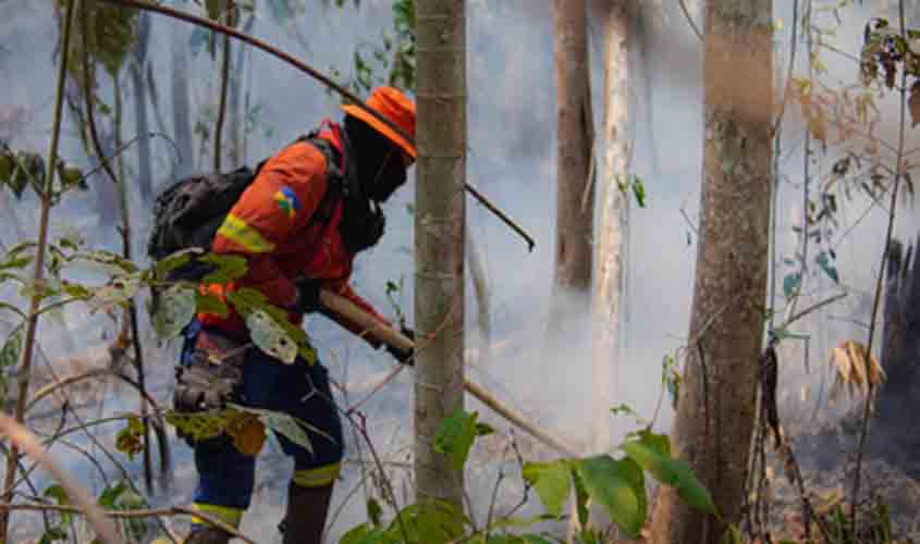 Em ação do MPF, Justiça Federal dá prazo de cinco dias para União comprovar contratação de brigadistas em Rondônia