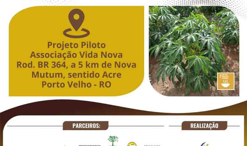 Dia de campo abordará aspectos da cadeia produtiva da mandioca 