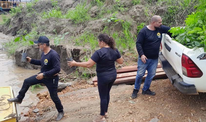 Ação da Sema melhora microclima no Baixo Madeira