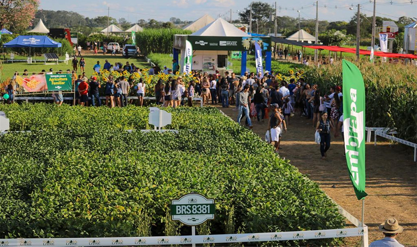 Rondônia investe no setor produtivo e na expansão das atividades agropecuárias