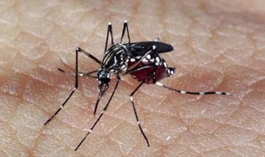 ZIKA: Saiba quais os sintomas da doença