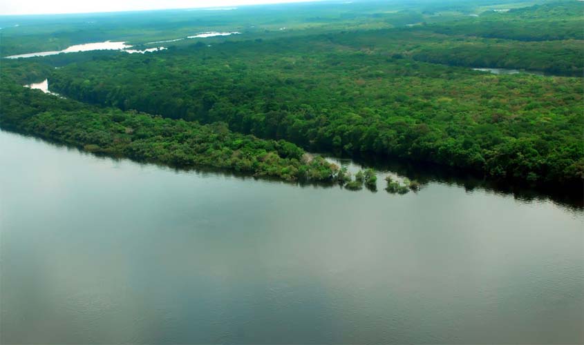 EUA estão empenhados em arrecadar recursos 'vultosos' para Amazônia