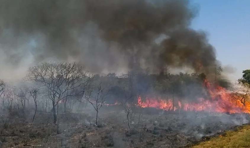 Área queimada no Brasil em janeiro de 2024 aumentou 3,5 vezes em relação a 2023