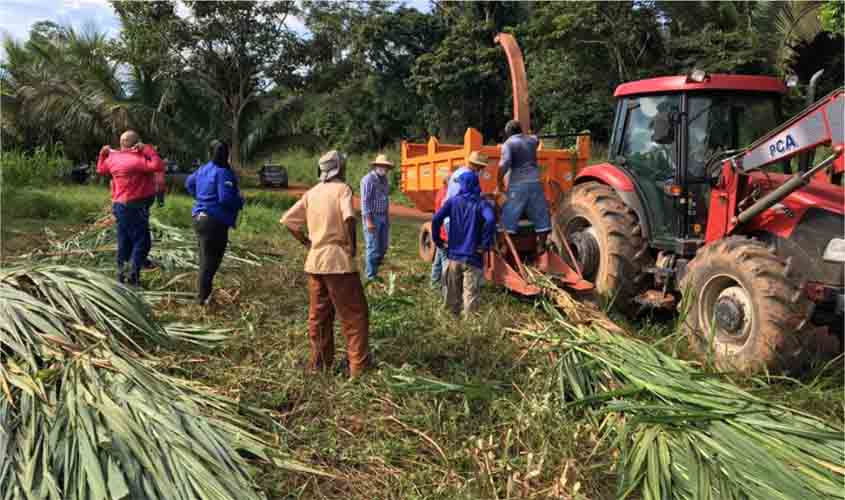 Metodologia para produção de silagem com capim capiaçu é demonstrada pela Emater a produtores rurais