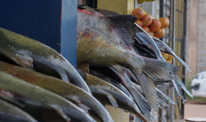 Moradores de Porto Velho têm opções para adquirir peixe fresco nesta Sexta-feira Santa