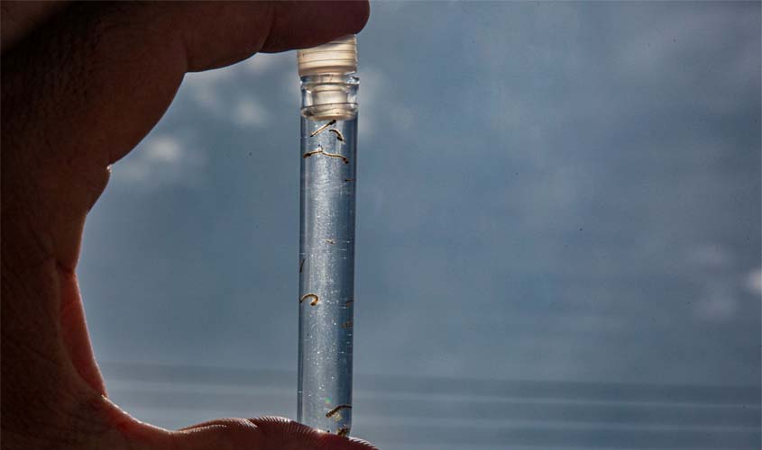 Combate à malária é reforçado com novas ações