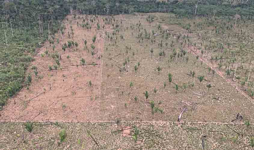 MP obtém condenação de pecuarista que devastou área equivalente a 867 campos de futebol no Parque Estadual de Guajará-Mirim