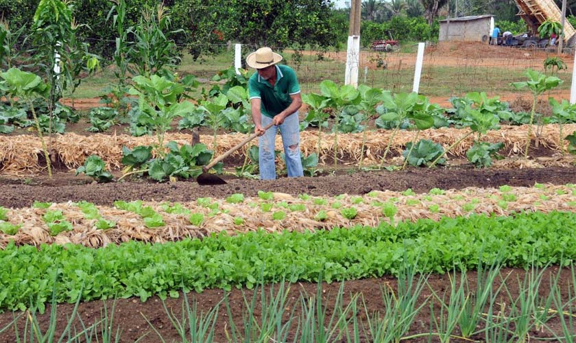 Agricultores de Rondônia serão homenageados com exposição de produtos da agricultura familiar nesta sexta-feira, 28