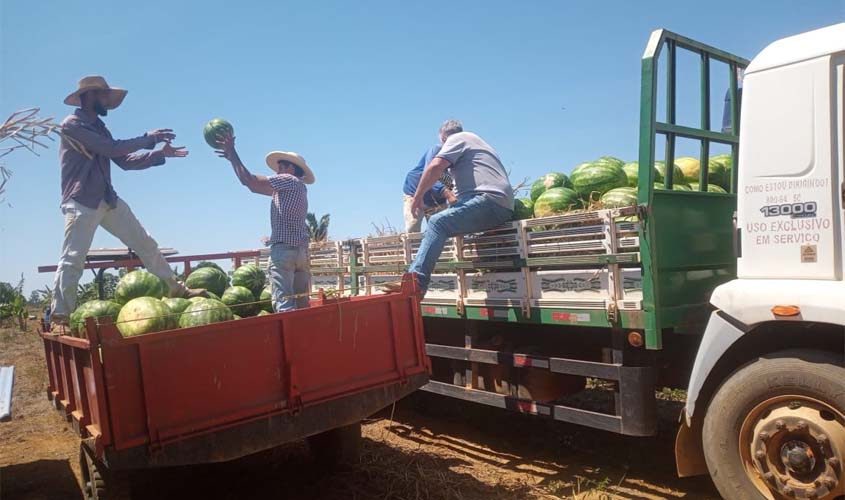Agrotec 2026 será vitrine do agronegócio de Porto Velho