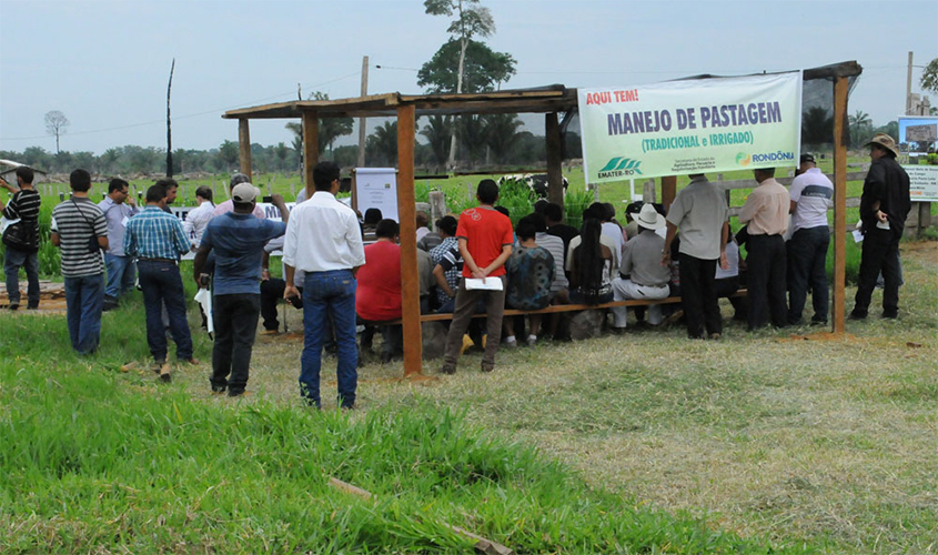 Extensionistas intensificam a assistência técnica em Rondônia