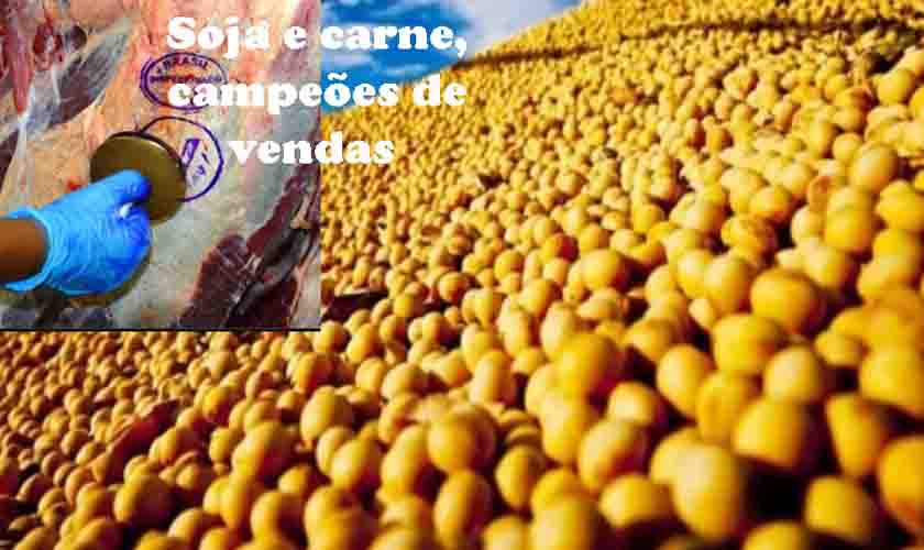 Produtos de Rondônia invadem o mundo: faturamento é de mais de 3 bi e 100 milhões em seis meses