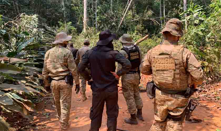 PF combate exploração de madeira na Terra Roosevelt em RO