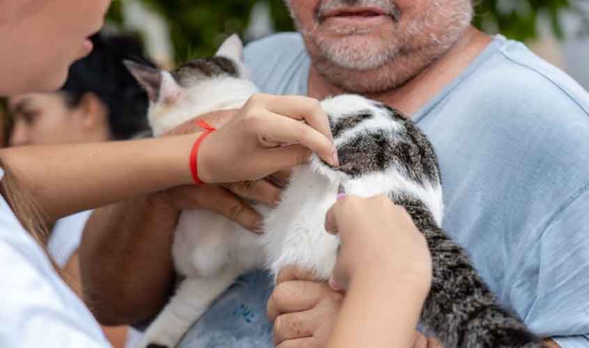 Prefeitura de Porto Velho facilita agendamento de vacinação através do sistema Vacinação Pet