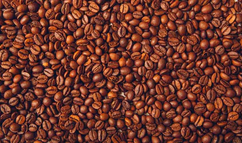 Café: confira as projeções de preço para quarta-feira (27)