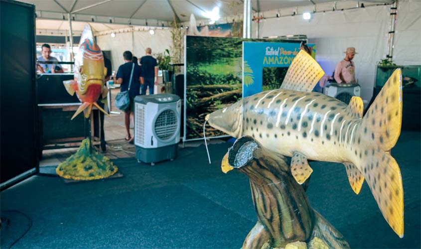 Peixes da Amazônia impulsionam desenvolvimento regional