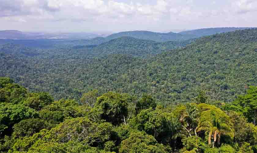 PF desarticula quadrilha que extraía ouro de terra indígena