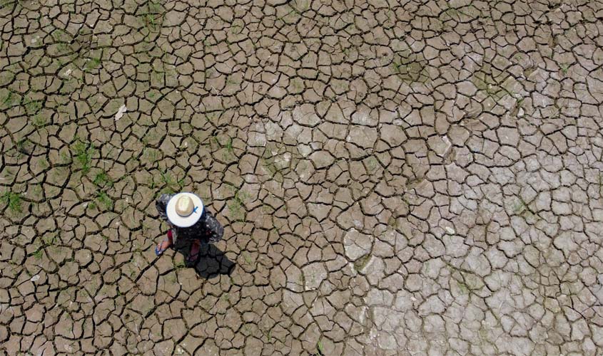 Seca já afeta todos os 62 municípios do Amazonas