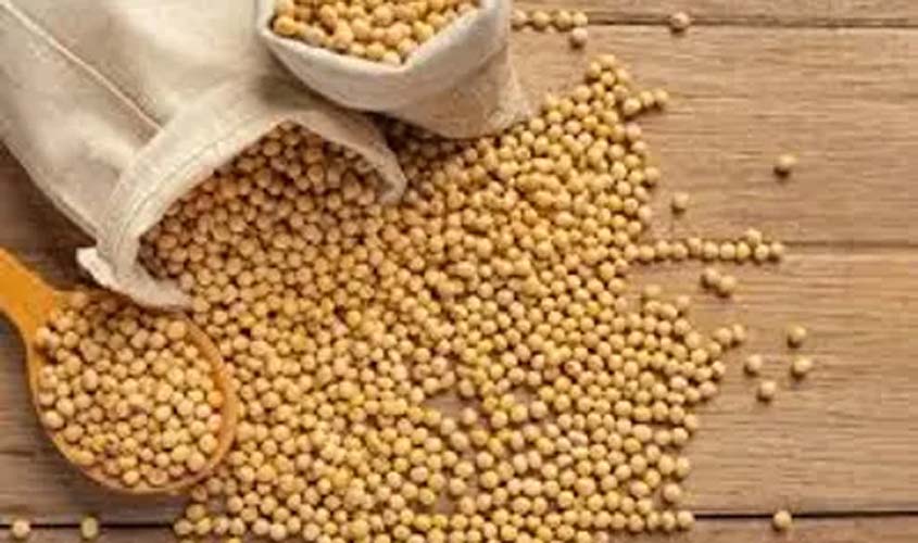 Soja e trigo: confira cotações de preço para esta segunda (27)