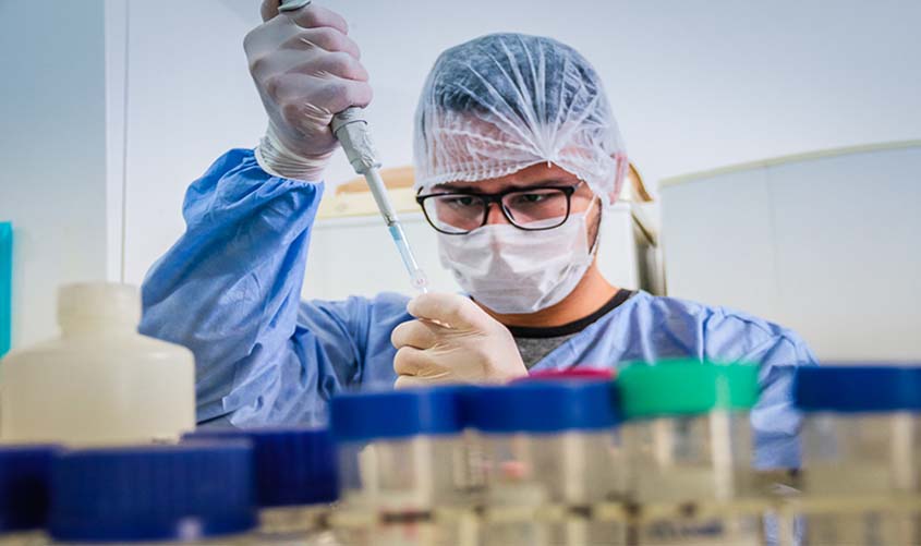 Pesquisadores descobrem nova espécie de inseto em Rondônia