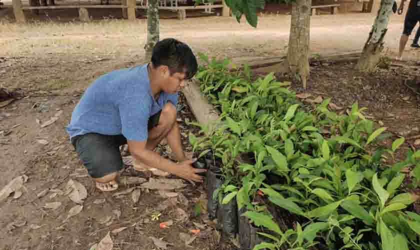 Sedam realiza Oficina de Capacitação ao plantio de mudas de castanheiras na comunidade indígena Sete de Setembro