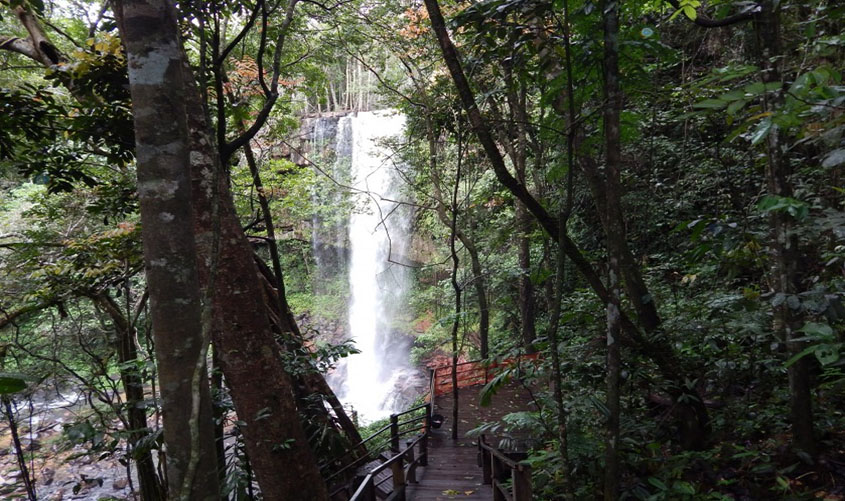 Ações inovadoras projetam o turismo de Rondônia, que ganhou destaque no Brasil e no mundo em 2019