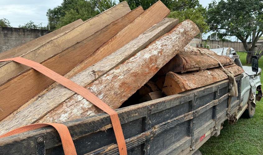 PF, PM e órgãos federais combatem extração ilegal de madeira