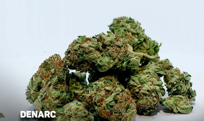 Denarc apreende drogas em empresa de logística em Porto Velho