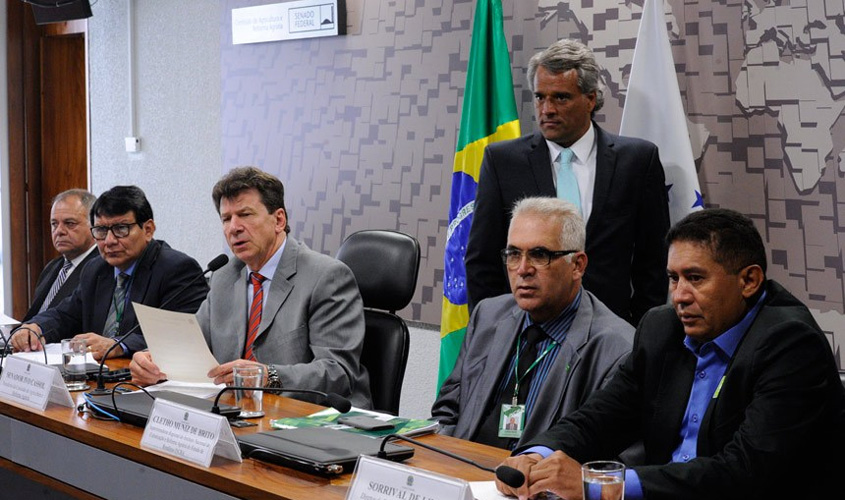 Senadores pedem ação do governo para pacificar colonos e índios em Rondônia