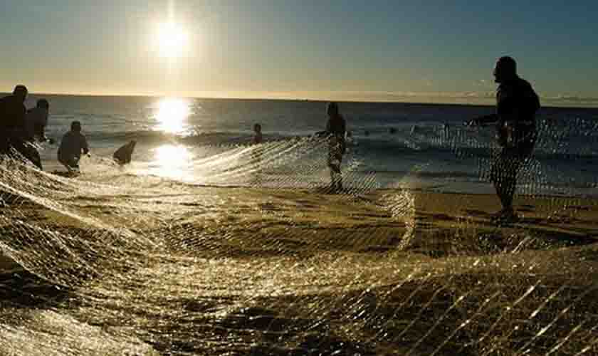 Pesca: falta de dados coloca em risco o meio ambiente e renda de pescadores no Brasil