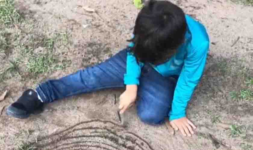 Seduc realiza Audiência Pública on-line para debater garantia do direito à Educação Especial em Rondônia