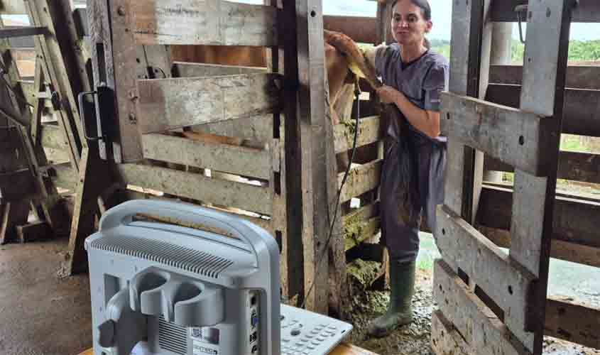 Projeto 'Rufião Móvel' da Emater auxilia produtores da Zona da Mata na avaliação reprodutiva do rebanho leiteiro