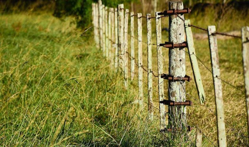 MPF garante devolução de 15 lotes ao Incra em RO