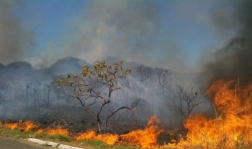 Queimadas em áreas florestais e de lavoura aumentam 52% este ano