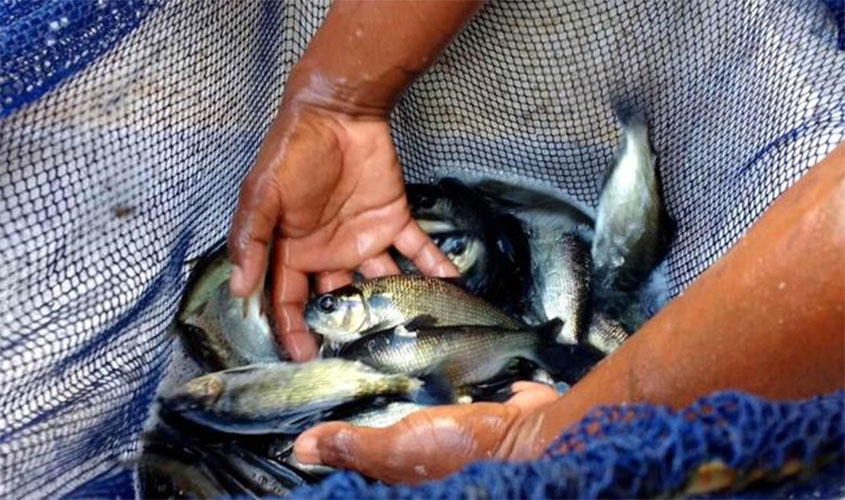 Governo qualifica terminais pesqueiros públicos para privatização