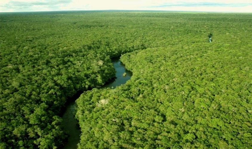 Governo de Rondônia abre consulta pública para auditoria inédita no setor florestal
