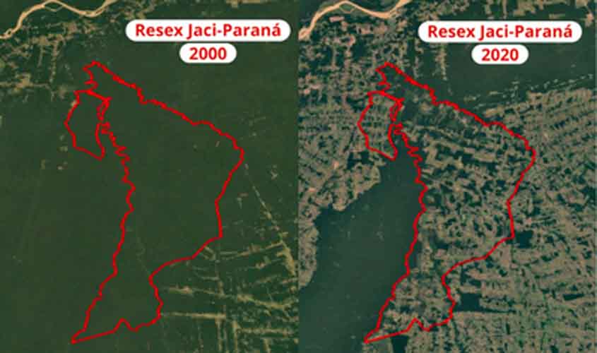 MPF pede que gestão da Reserva Extrativista Jaci-Paraná, em Rondônia, passe para a União