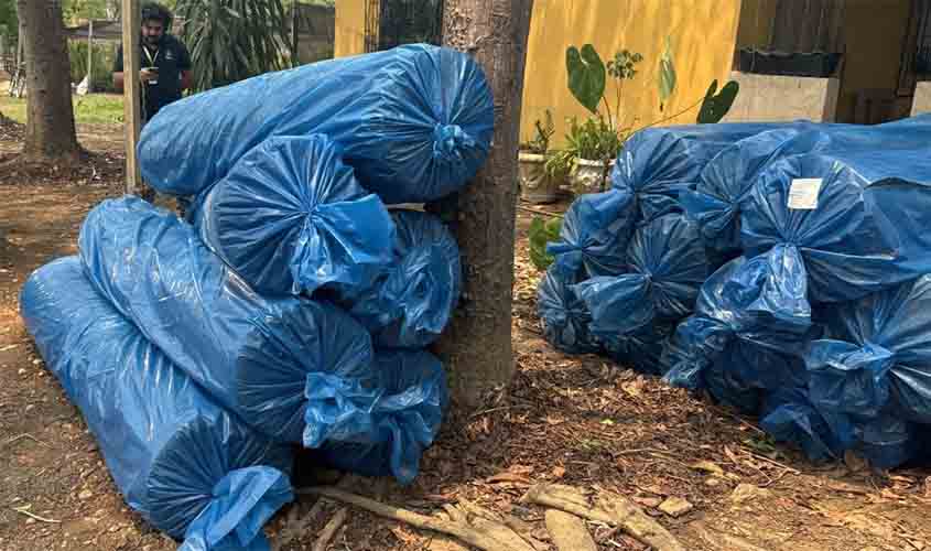 Projeto de recuperação das nascentes do Rio Pirarara reforça combate à crise hídrica em Rondônia