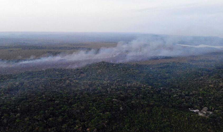 MPF não vê indícios de ação de brigadistas em incêndios florestais