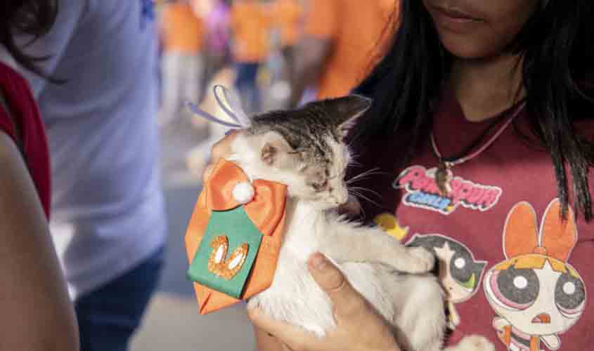 10ª Edição da Feira de Adoção de Cães e Gatos acontece neste sábado (30)