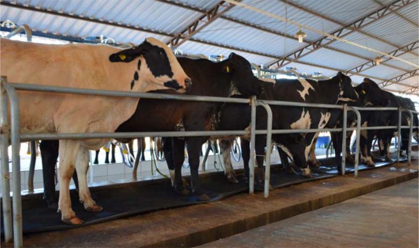 R$ 100 mil fortalecem a pecuária leiteira em Vale do Paraíso