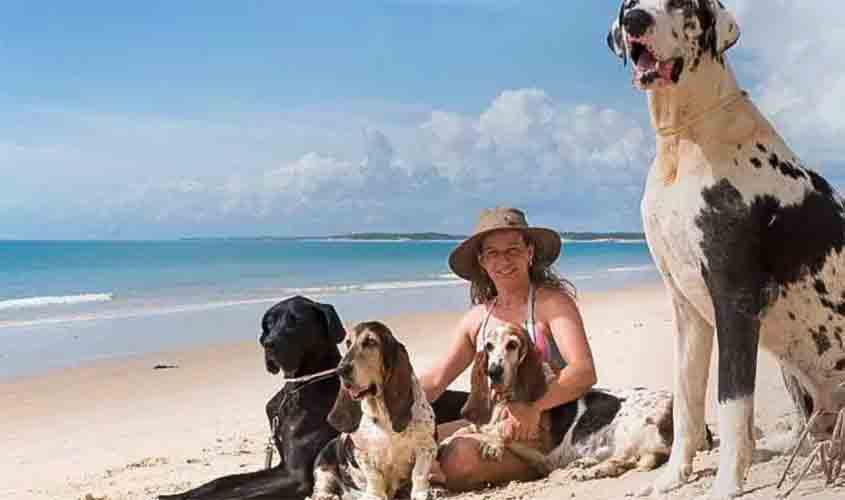 Férias chegam e trazem um dilema: viajar ou não com os pets?