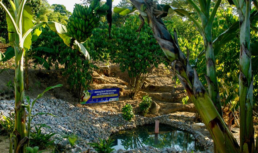 Novas vitrines tecnológicas mostrarão a riqueza agrícola na Rondônia Rural Show de 2024