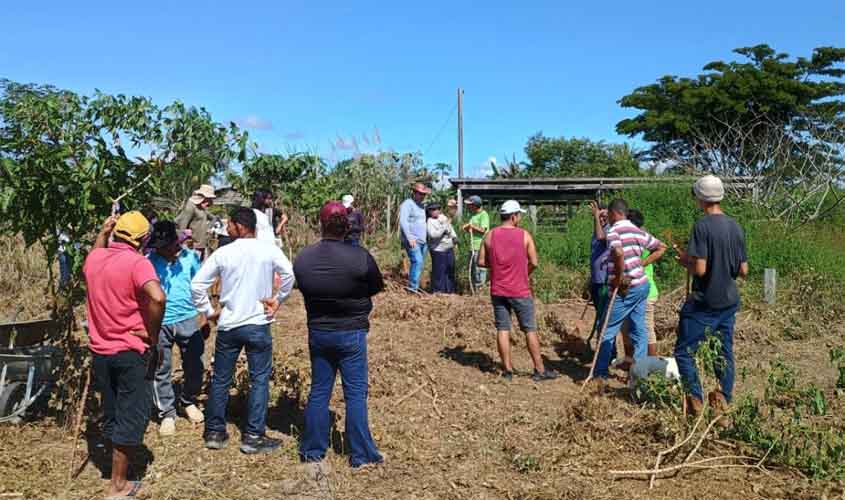 Prefeitura apoia capacitação em Sistemas Agroflorestais para recuperação de áreas degradadas em Porto Velho
