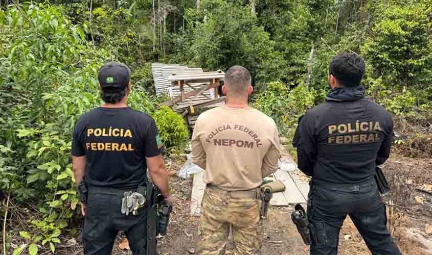 PF deflagra operação para combate a crimes na Terra Indígena Igarapé Laje