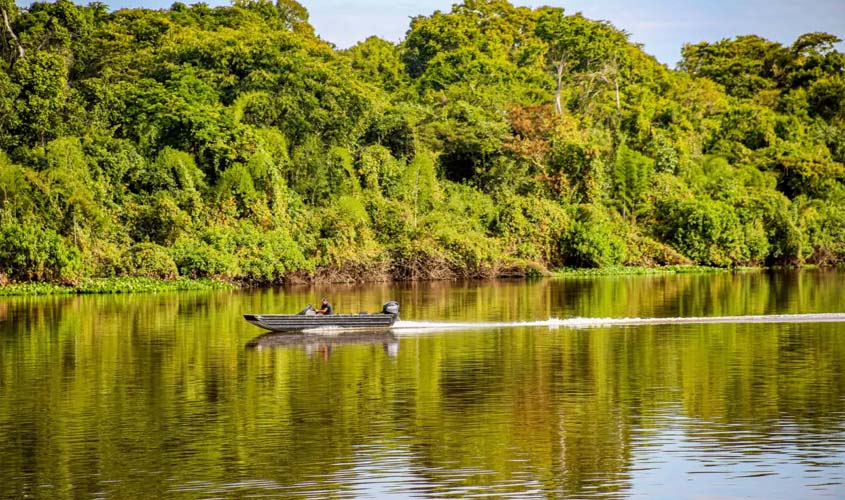 Rondônia conquista redução histórica do desmatamento